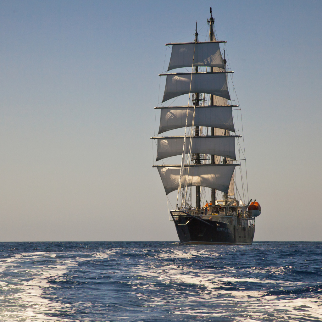 Большой корабль с белыми парусами в поле 