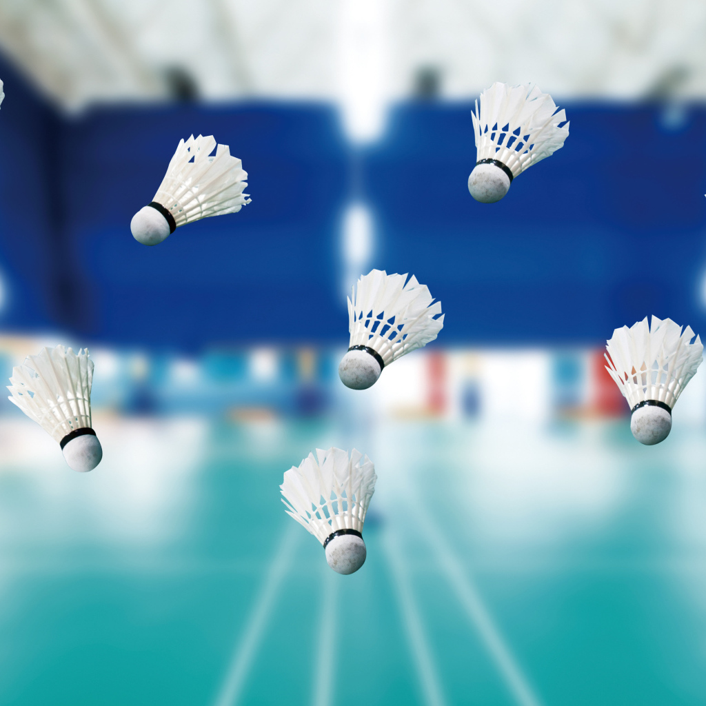 Воланчики в воздухе для игры в бадминтон