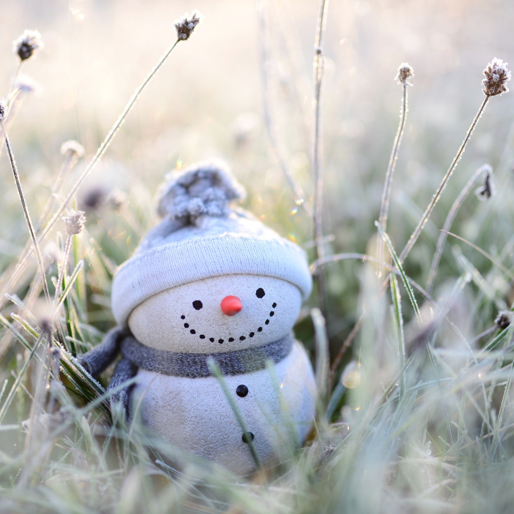 Фигурка снеговика стоит на покрытой инеем траве