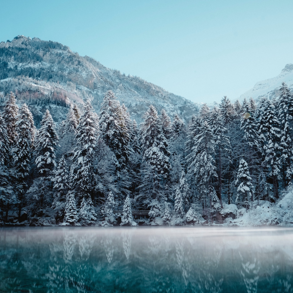 Snow-covered fir trees on the lake in the mountains