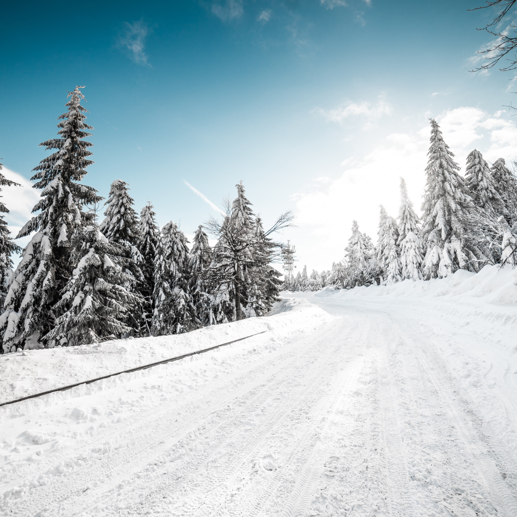 Заснеженная дорога в хвойном лесу зимой