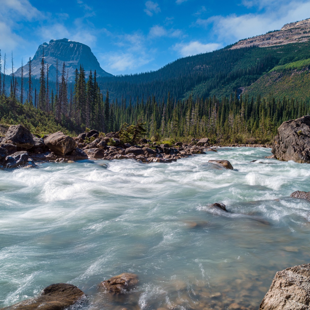 Горная холодная вода. Река. Реки Канады. Река фото. Британская Колумбия леса.
