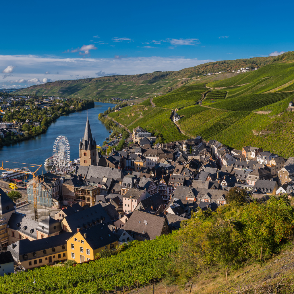 Вид город, реку и виноградник. Германия 
