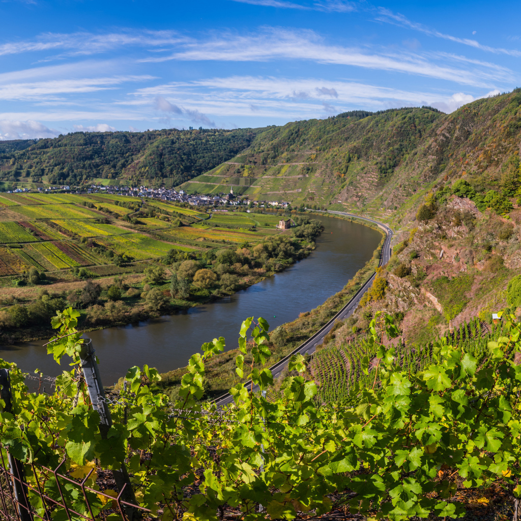 View of the vineyards by the river under the blue sky, Germany