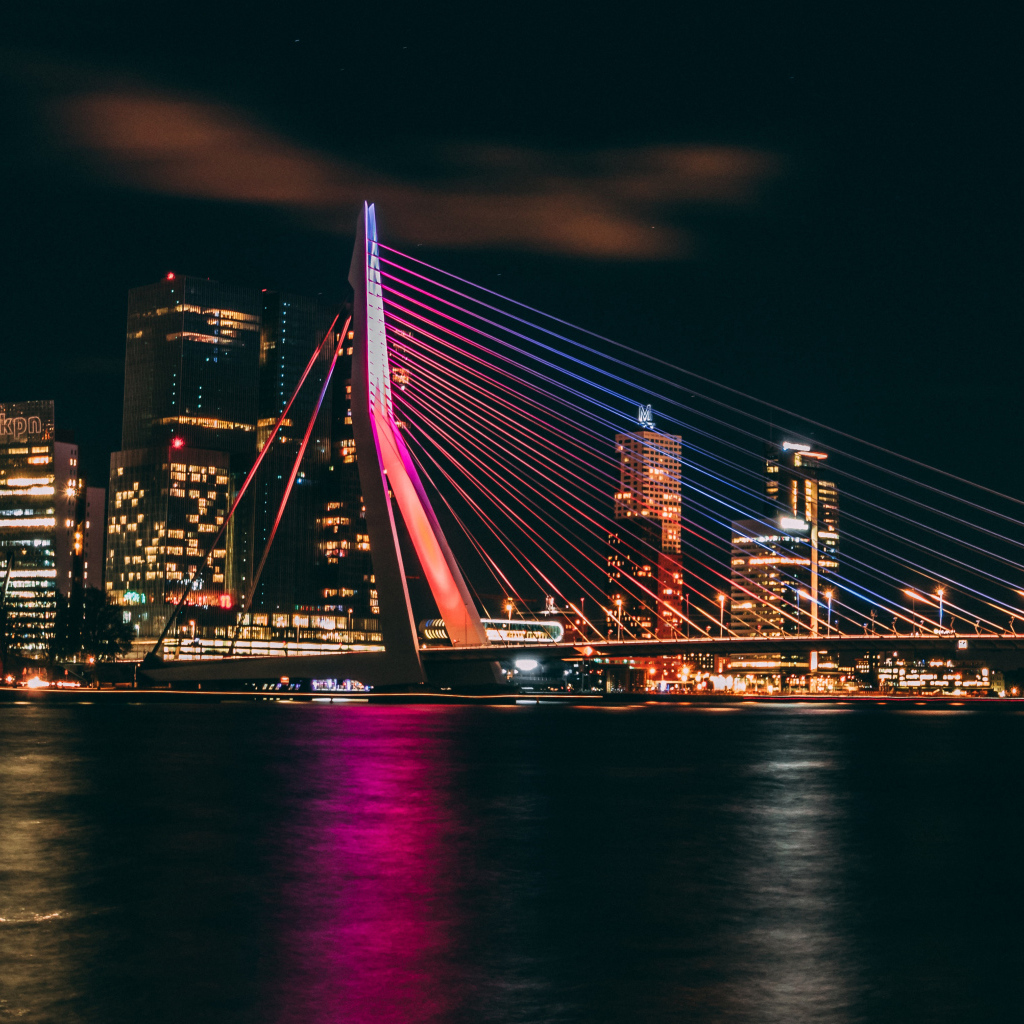 Мост Эразма Роттердам на фоне мегаполиса. Нидерланды