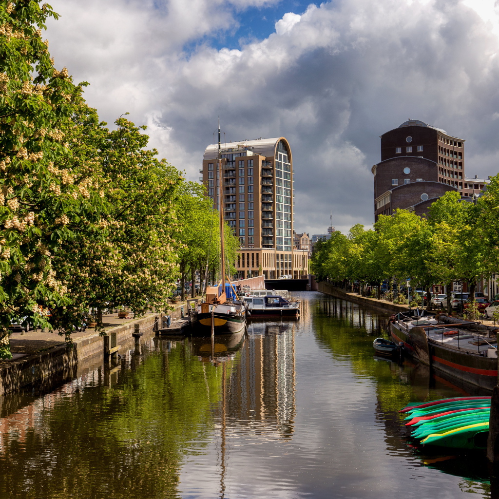 Водный канал в городе с цветущими каштанами, Нидерланды 