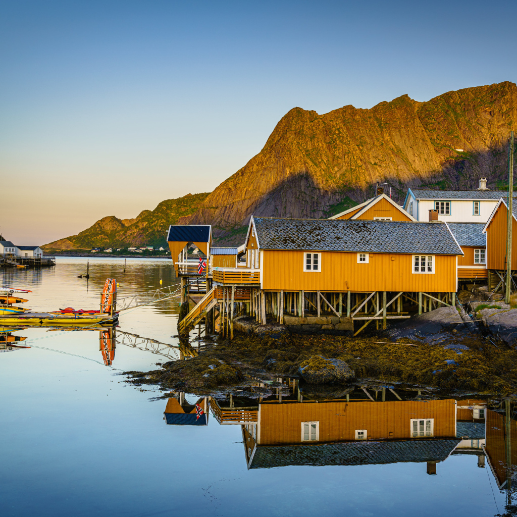 Деревья на сваях на острове Лофотен у гор, Норвегия 