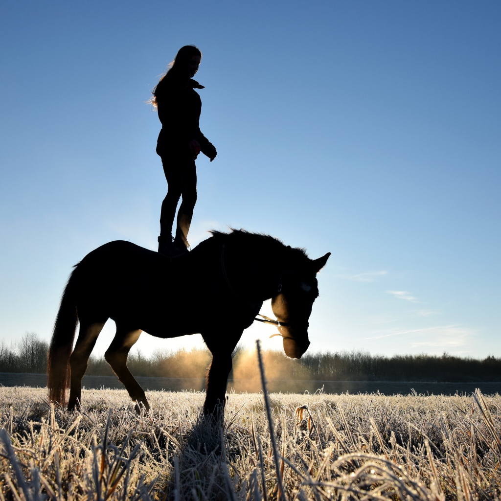 Девушка стоит на коне на фоне рассвета 