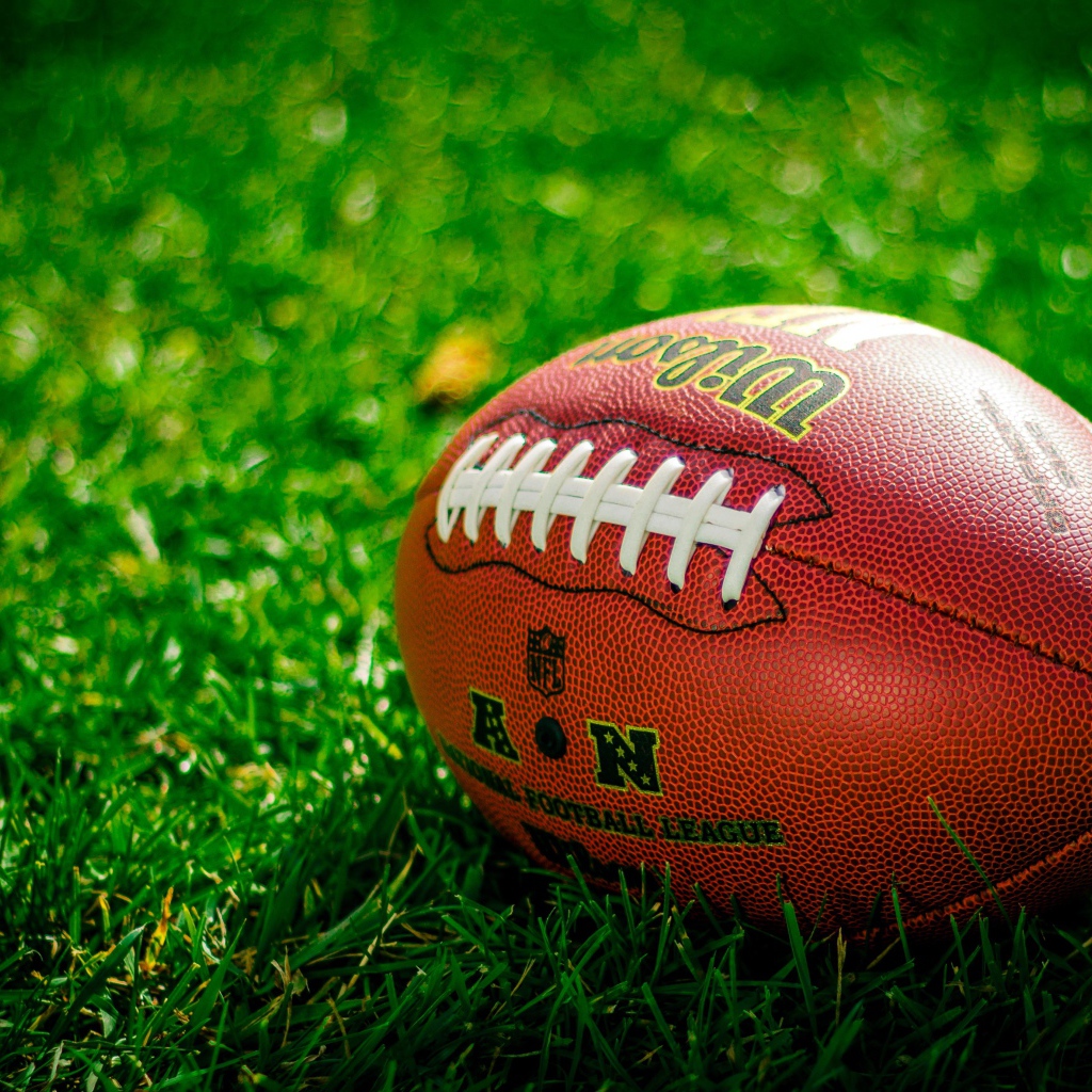 American football ball lies on green grass