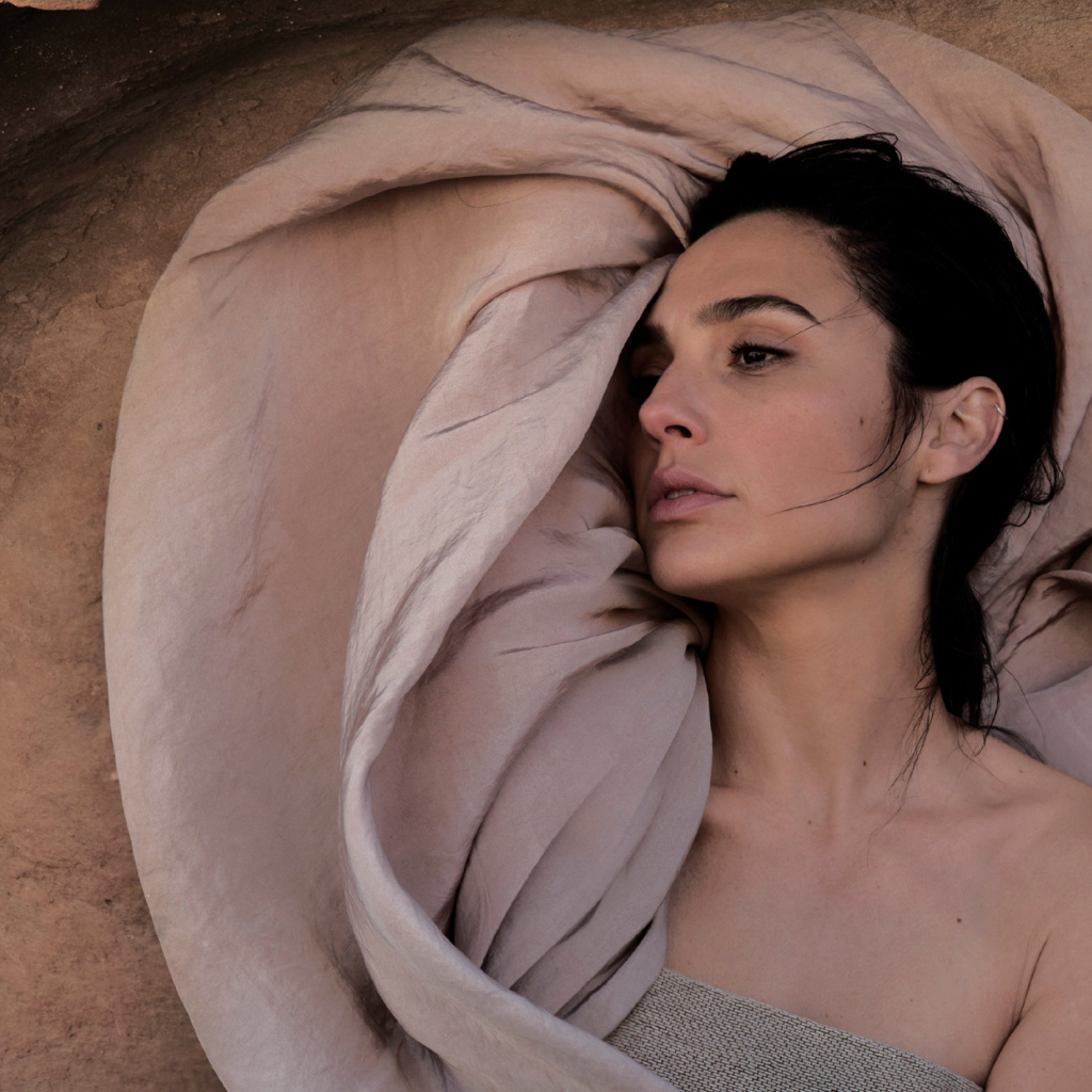 Красивая брюнетка, актриса Галь Гадот