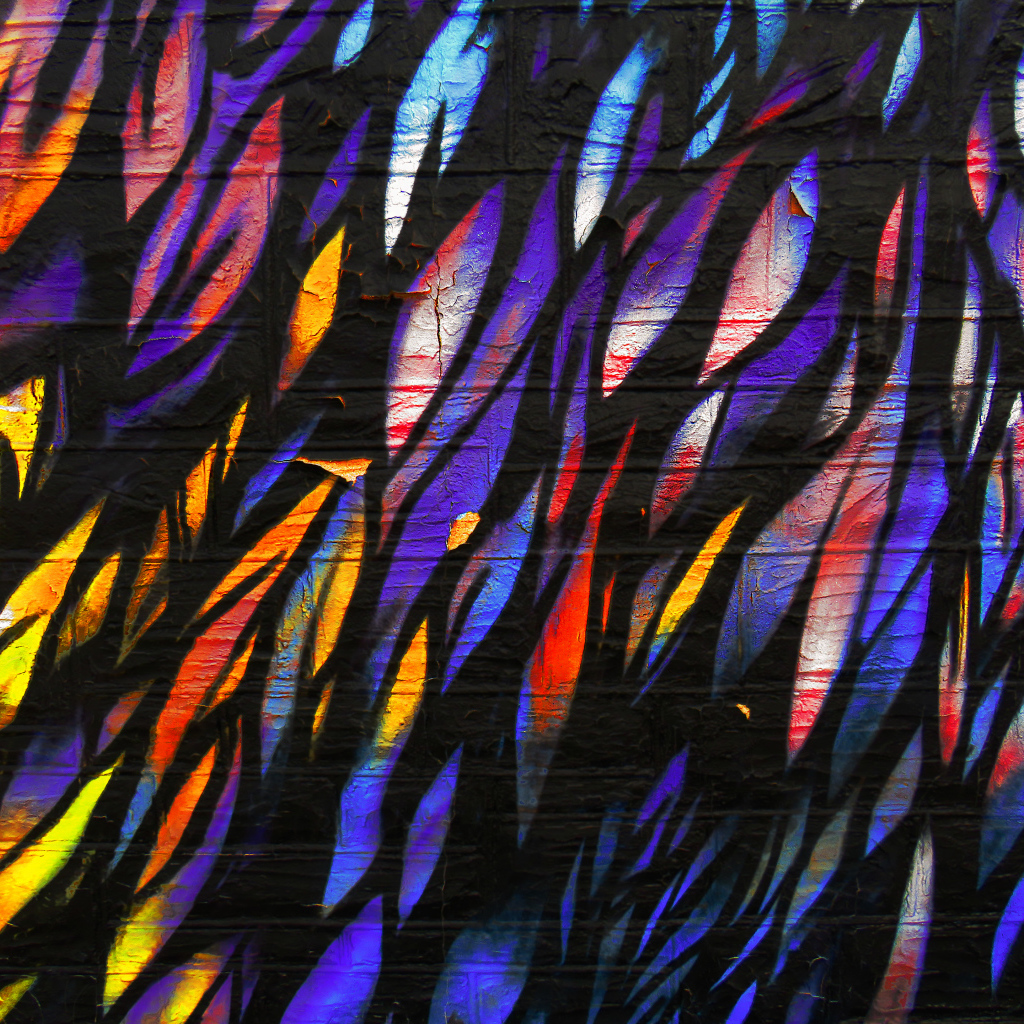 Рисунок перья на стене крупным планом