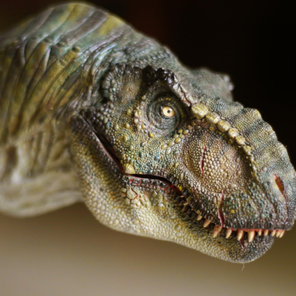 Морда динозавра т рекса крупным планом