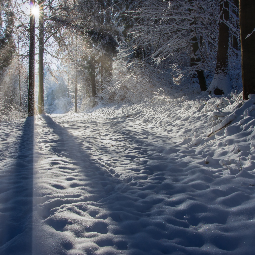 Лучи солнца освещают заснеженную дорогу 