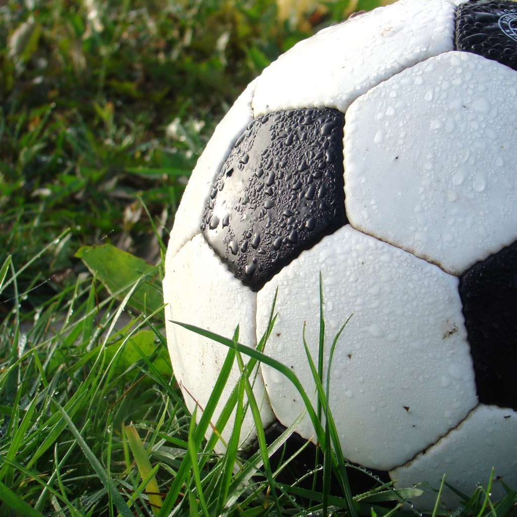 Мокрый футбольный мяч лежит на зеленой траве 