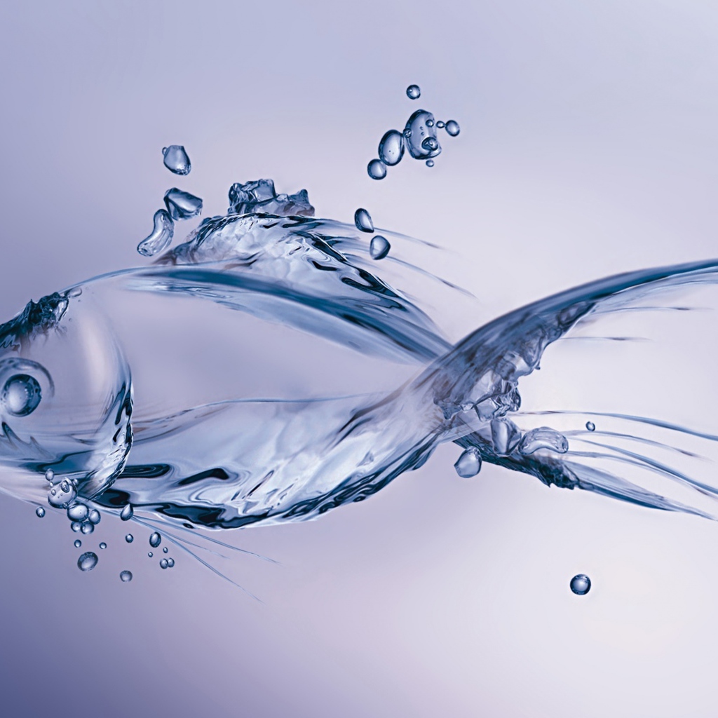 Рыба из воды на синем фоне