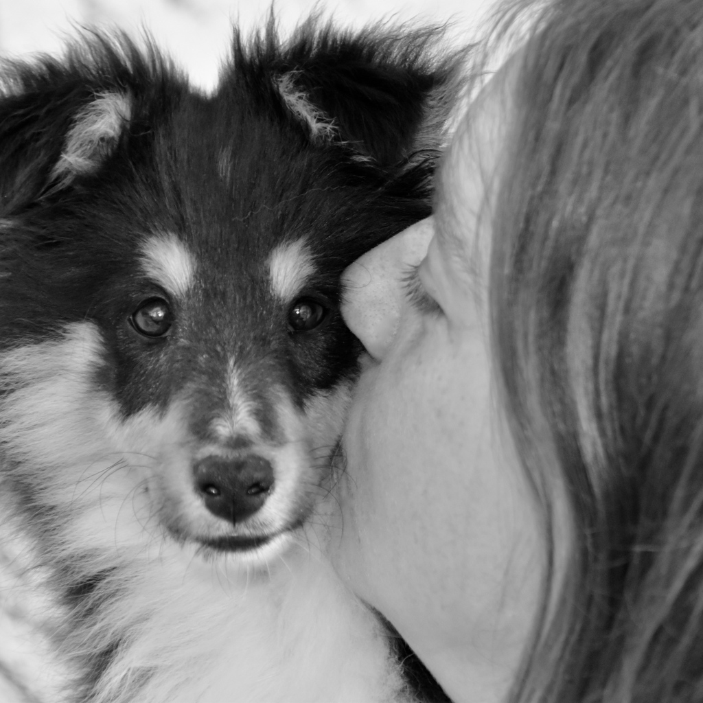 Девушка целует милого щенка 