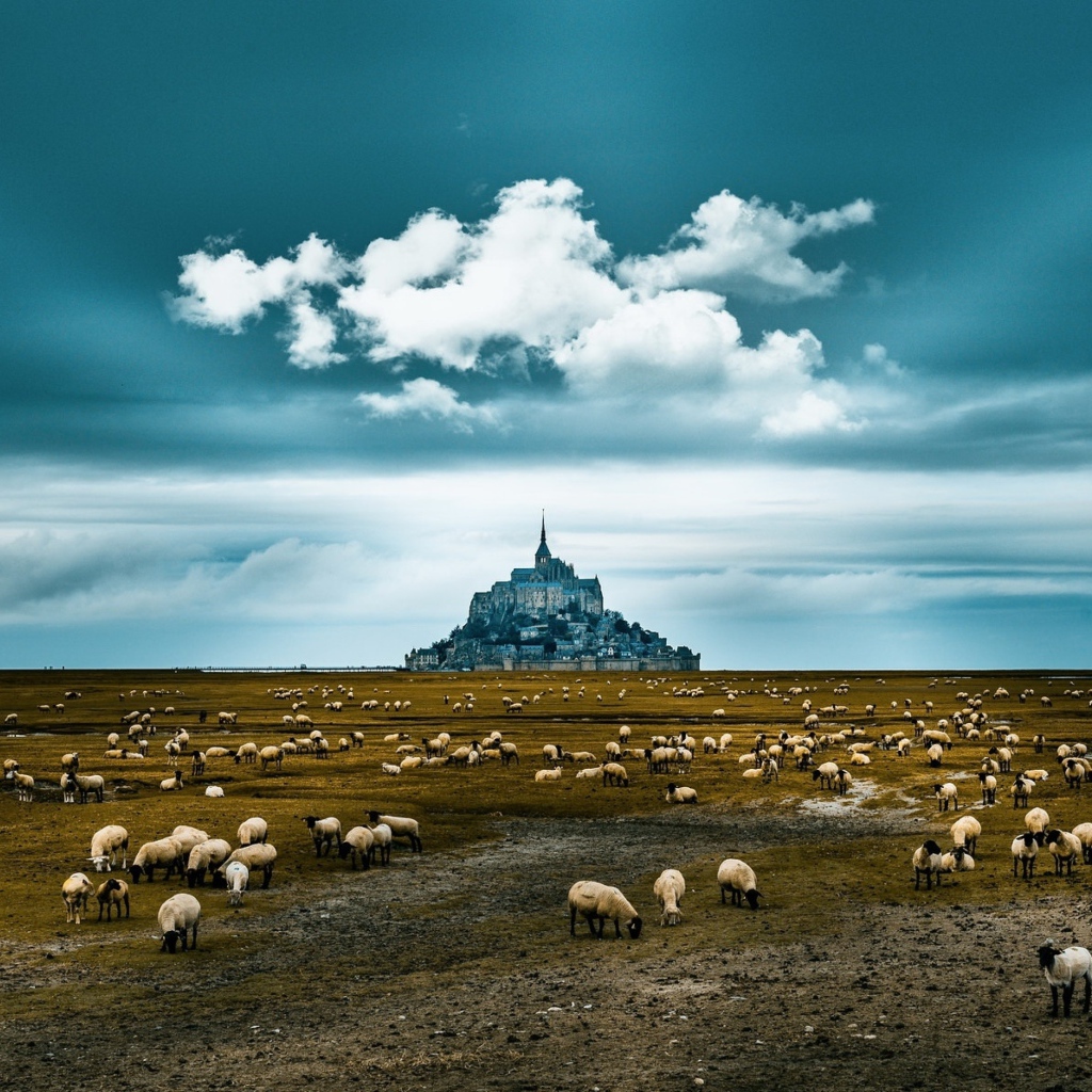 Стадо овец пасется у старого монастыря