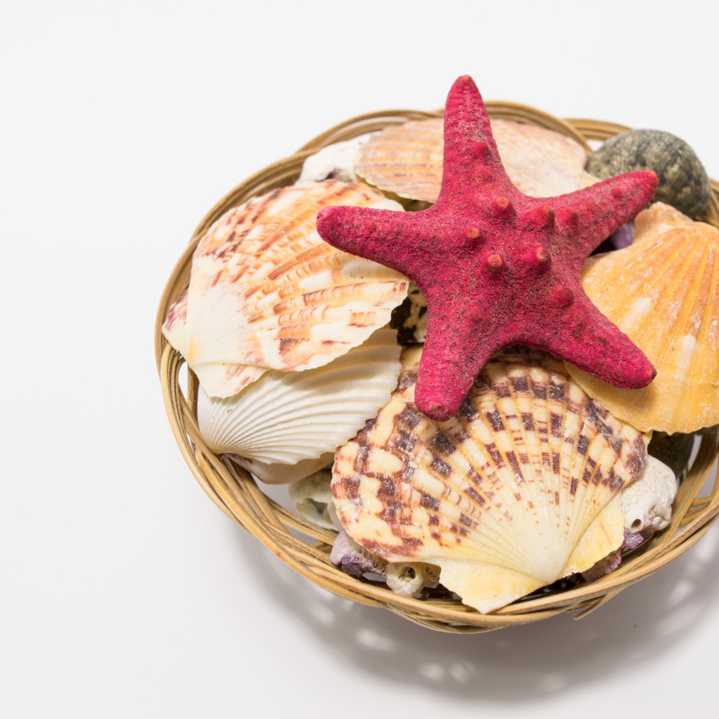 Красная морская звезда и ракушки в корзине на столе 