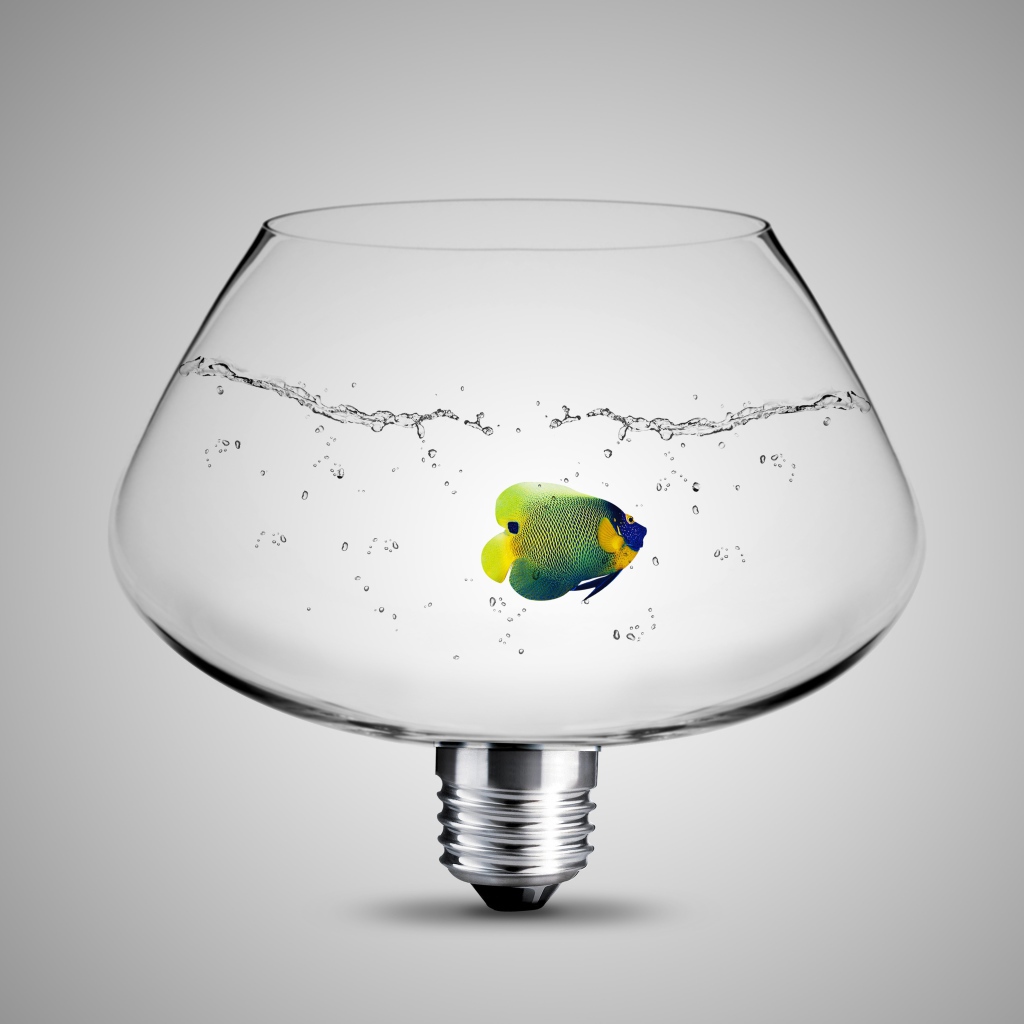 Рыбка в аквариуме лампе на сером фоне