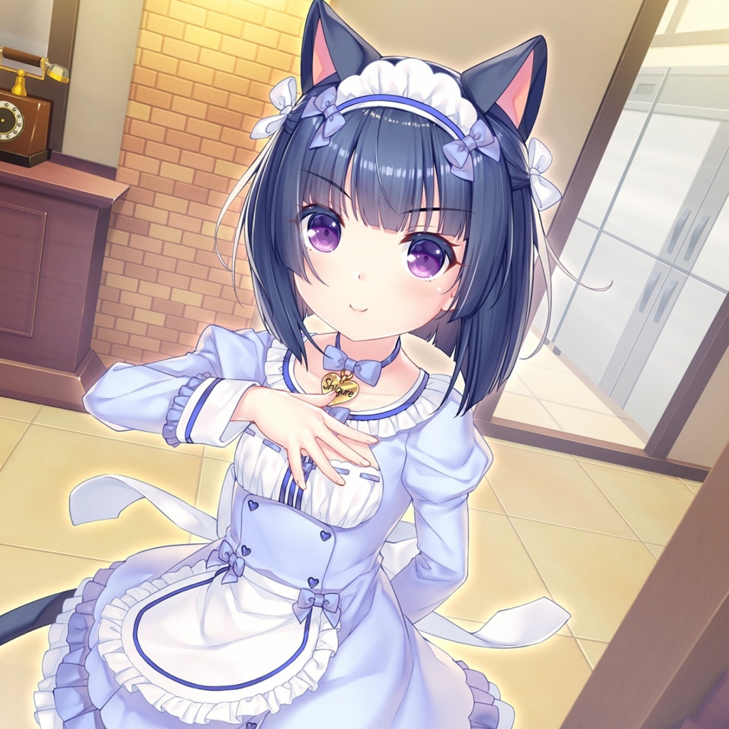 Девушка аниме Minazuki Shigure в форме 