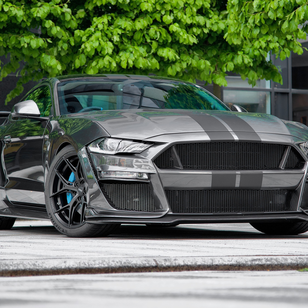 Быстрый дорогой автомобиль Ford Mustang CS850GT 2021 года