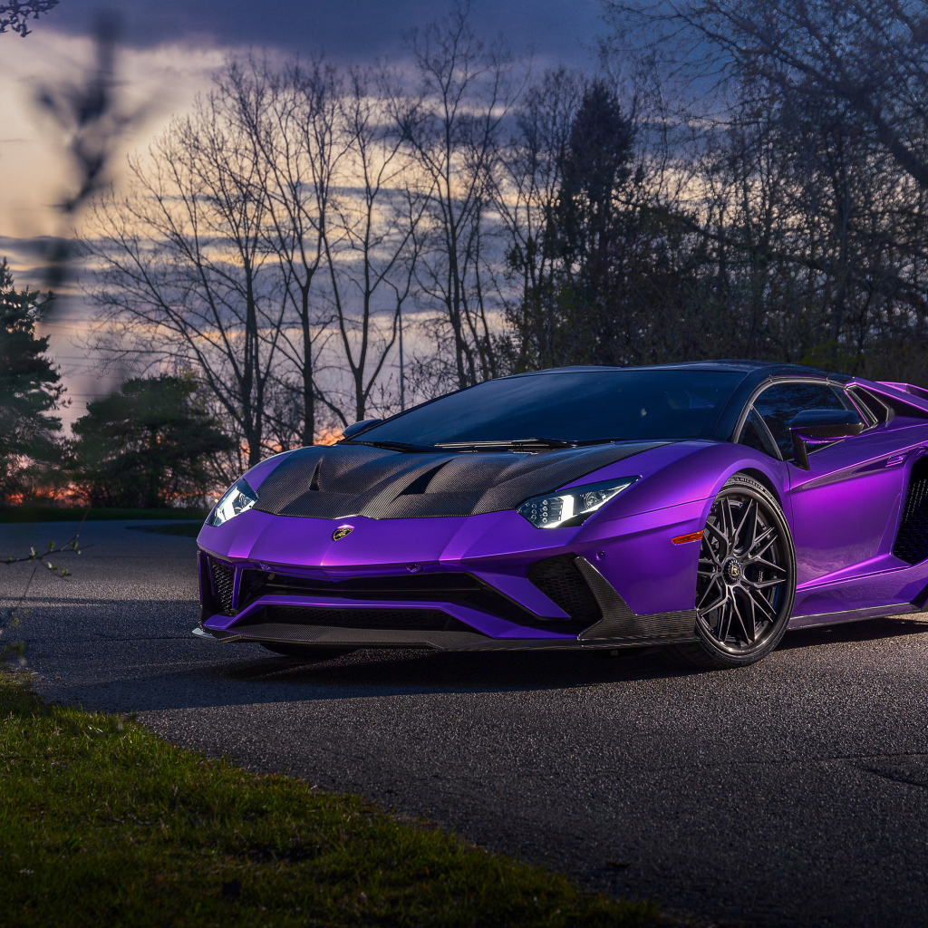 Фиолетовый автомобиль Lamborghini Aventador на дороге