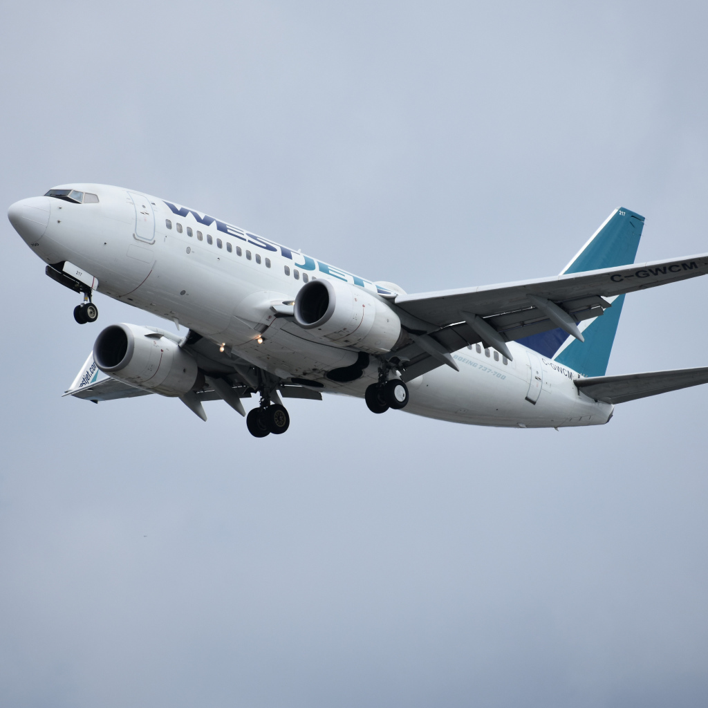Пассажирский Boeing 737 авиакомпании  WestJet в небе 
