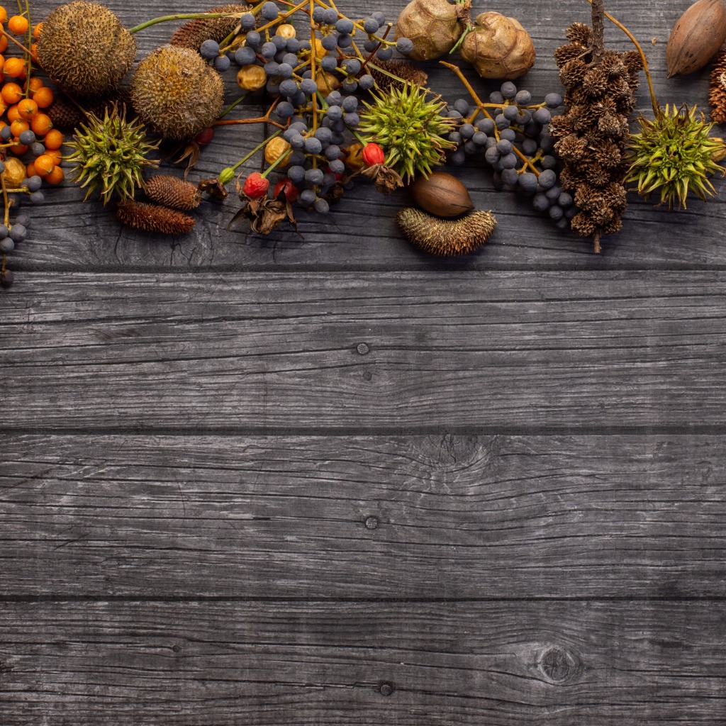 Ягоды с шишками на деревянном фоне 