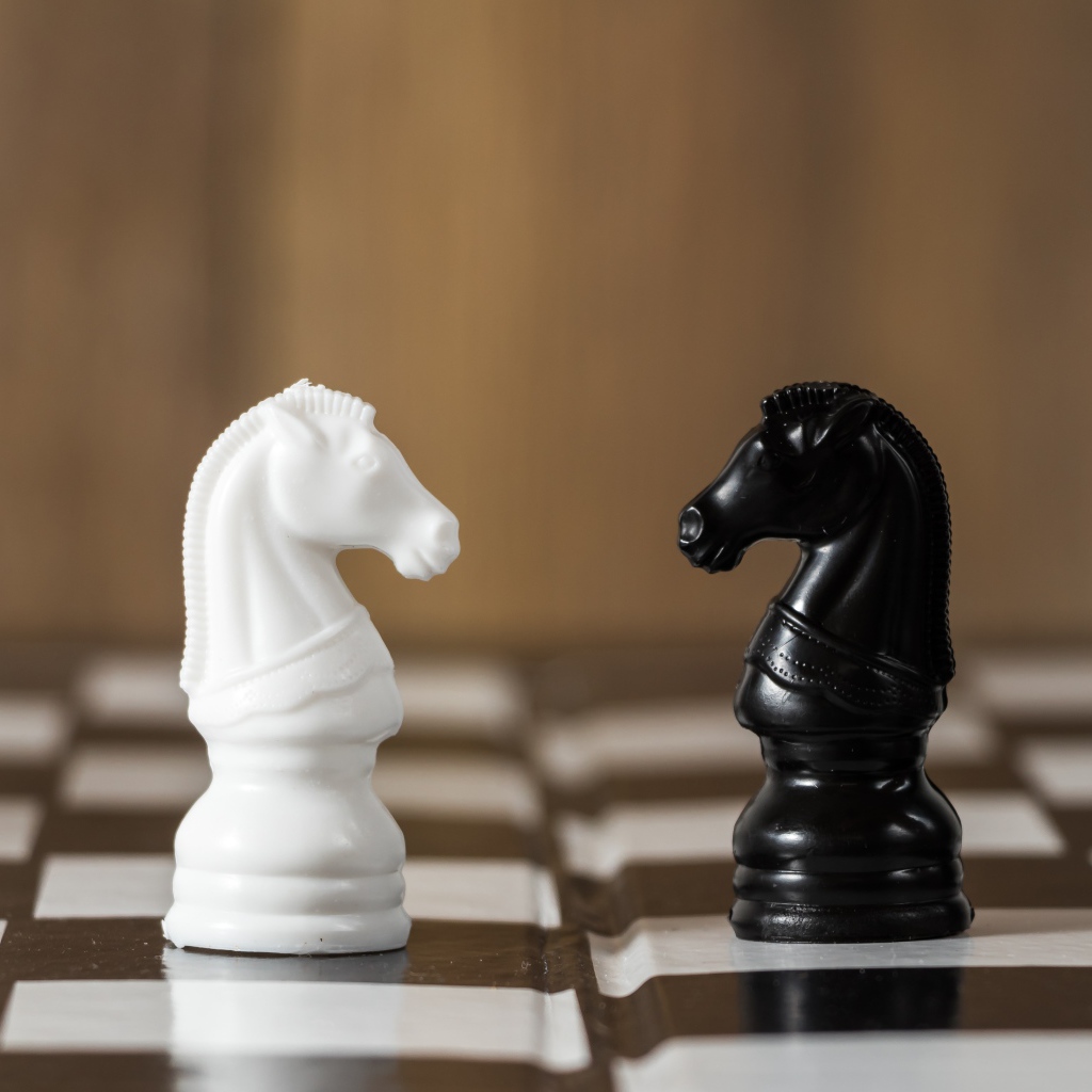 Черный и белый шахматный конь