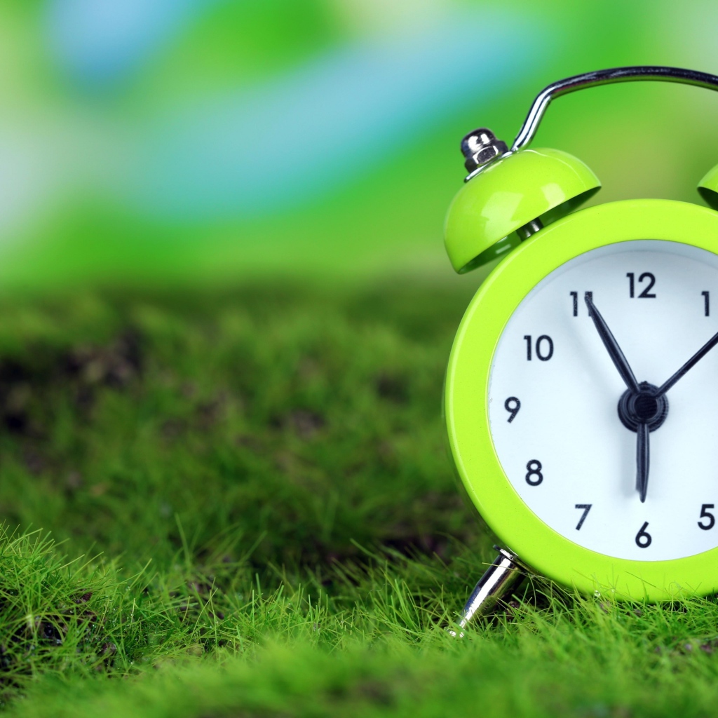 Зеленый будильник стоит на траве