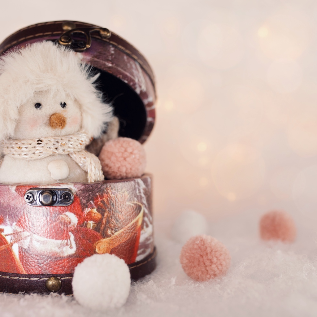 Маленький снеговик сидит в шкатулке 
