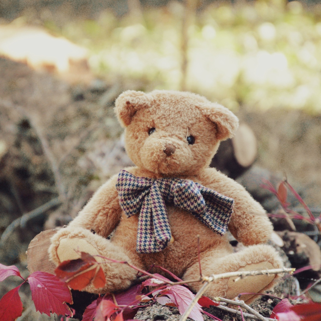 Маленький плюшевый мишка сидит на земле 