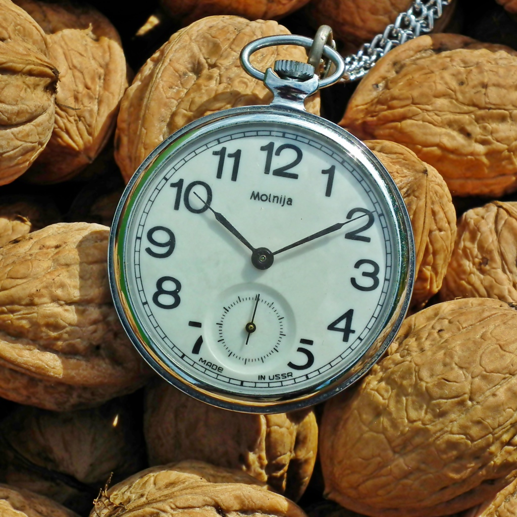 Карманные часы с грецкими орехами 