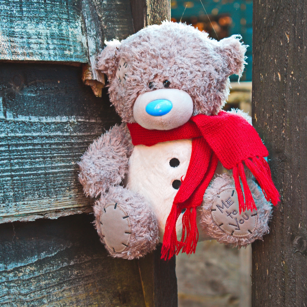 Медвежонок Тедди с красным бантом на заборе 