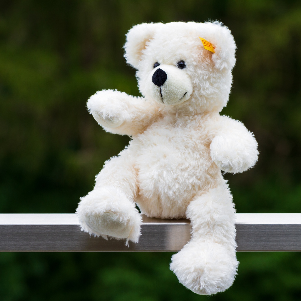 Белый плюшевый медведь сидит на деревянной доске