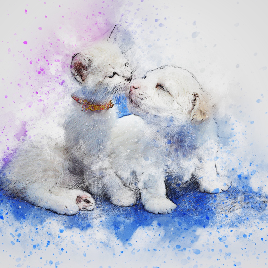 Нарисованные котенок и щенок на сером фоне