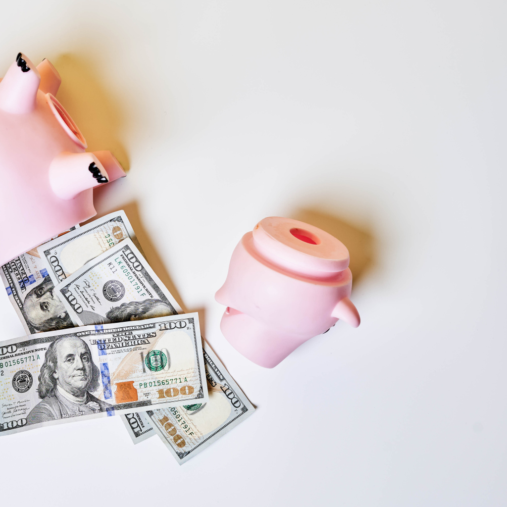 Pig piggy bank with dollars on gray background