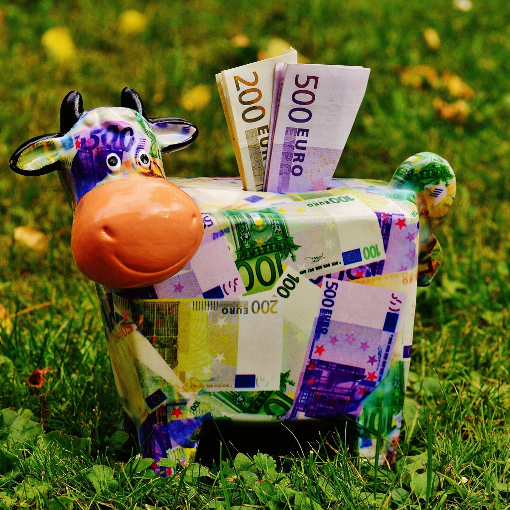 Копилка корова с купюрами евро на зеленой траве 