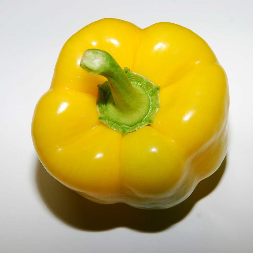 Аппетитный желтый болгарский перец на сером фоне