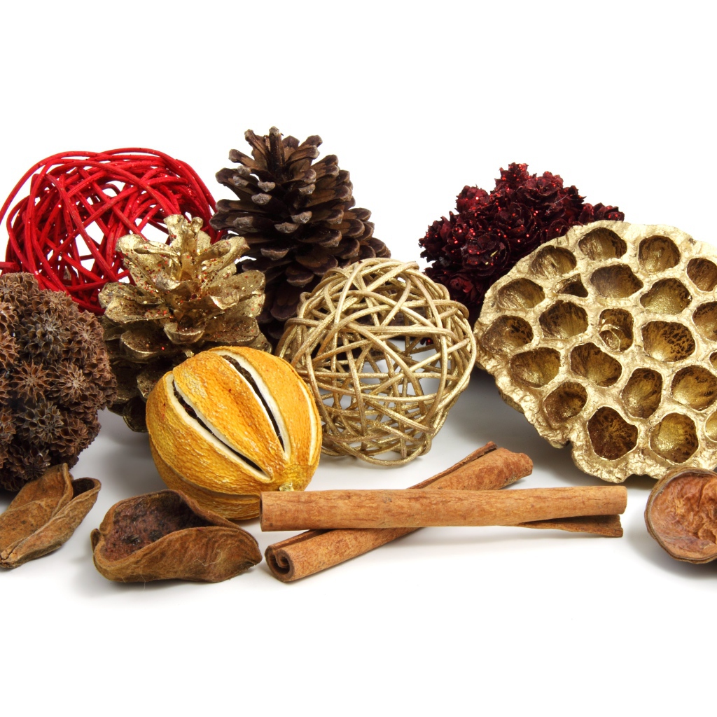 Ароматные специи и шишки на белом фоне 