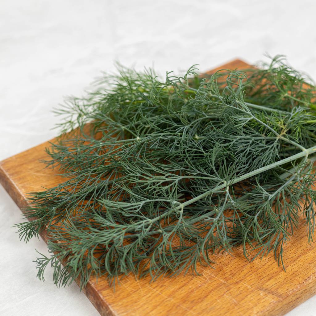 Свежий зеленый укроп на разделочной доске