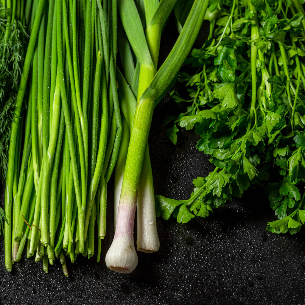 Зеленый лук с петрушкой и укропом на черном столе 