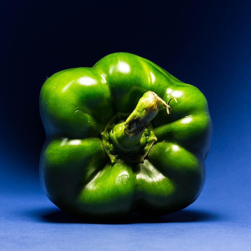 Зеленый перец паприка на синем фоне