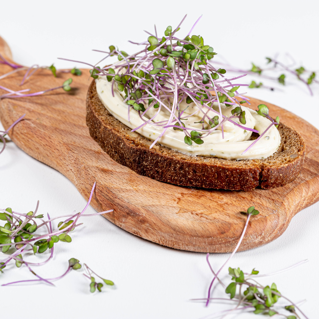 Бутерброд с соусом и зелеными ростками пшеницы