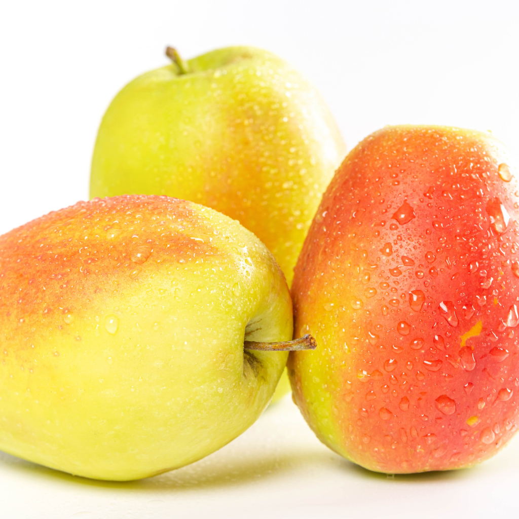 Три мокрых яблока на белом фоне