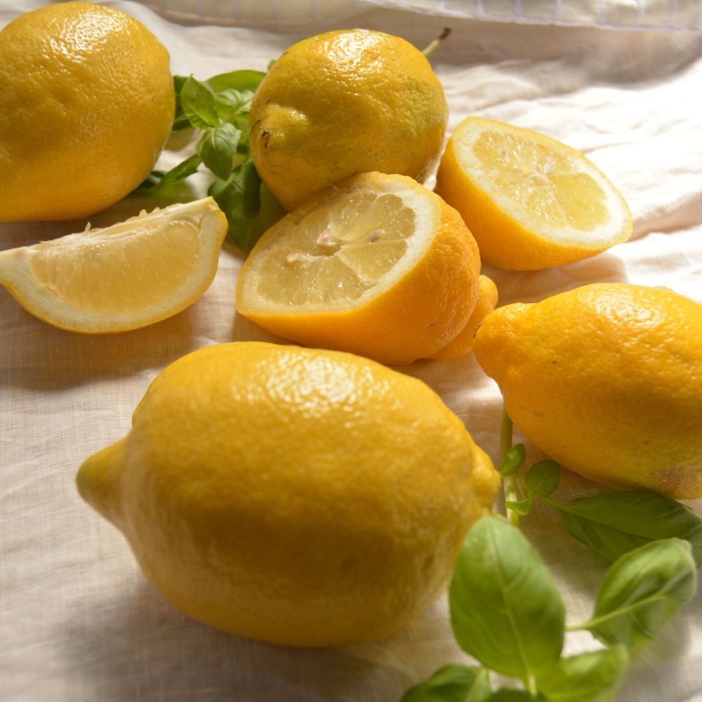 Желтые кислые лимоны с листьями базилика 