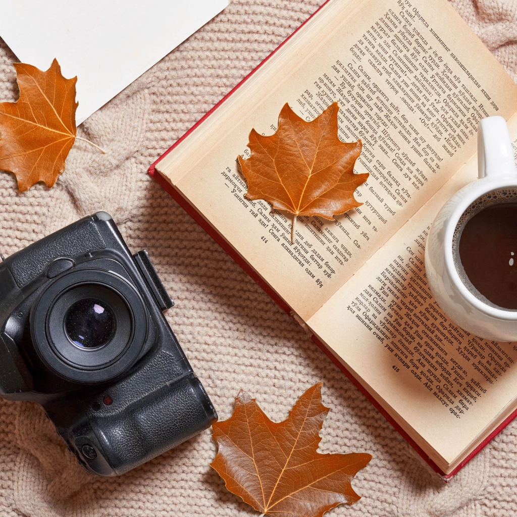 Книга с чашкой чая и фотоаппаратом на теплой кофте