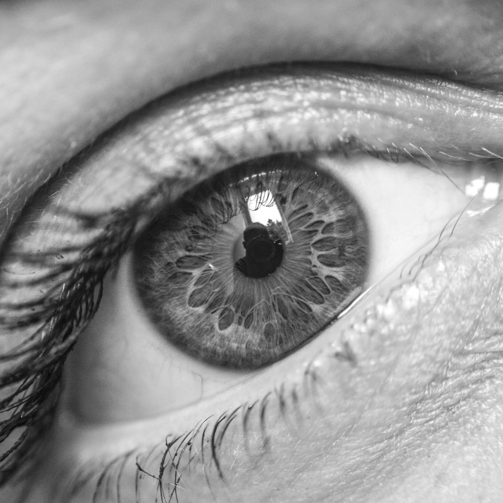 Красивый глаз девушки черно-белое фото
