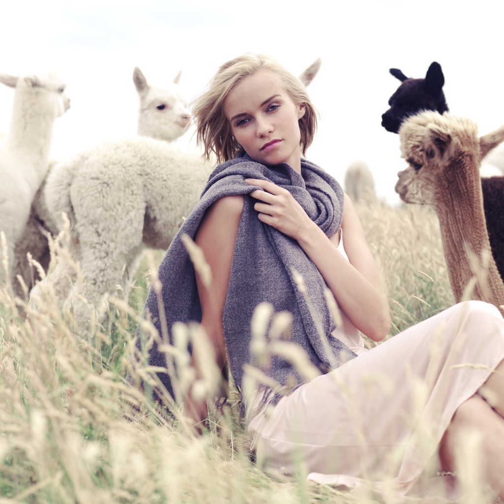 Девушка с детенышами альпаки на поле