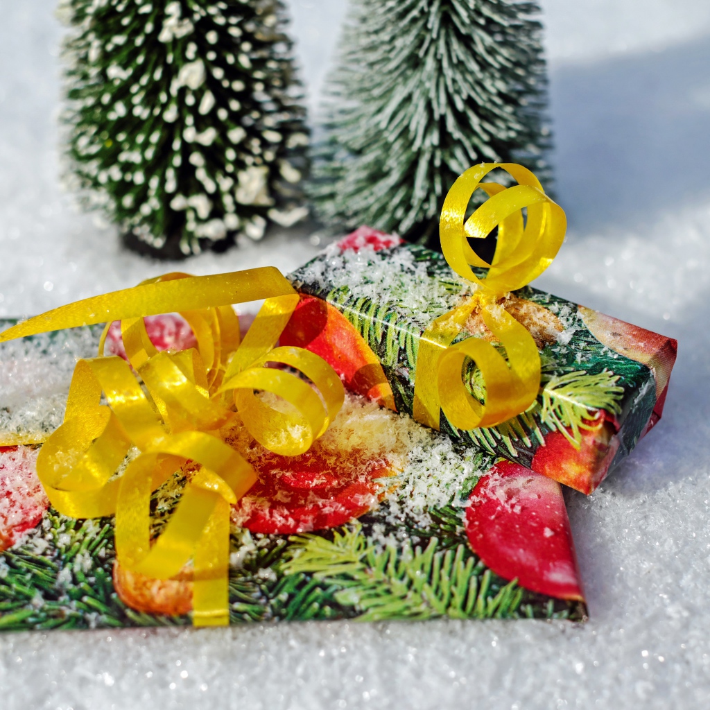 Два подарка с бантами на снегу 